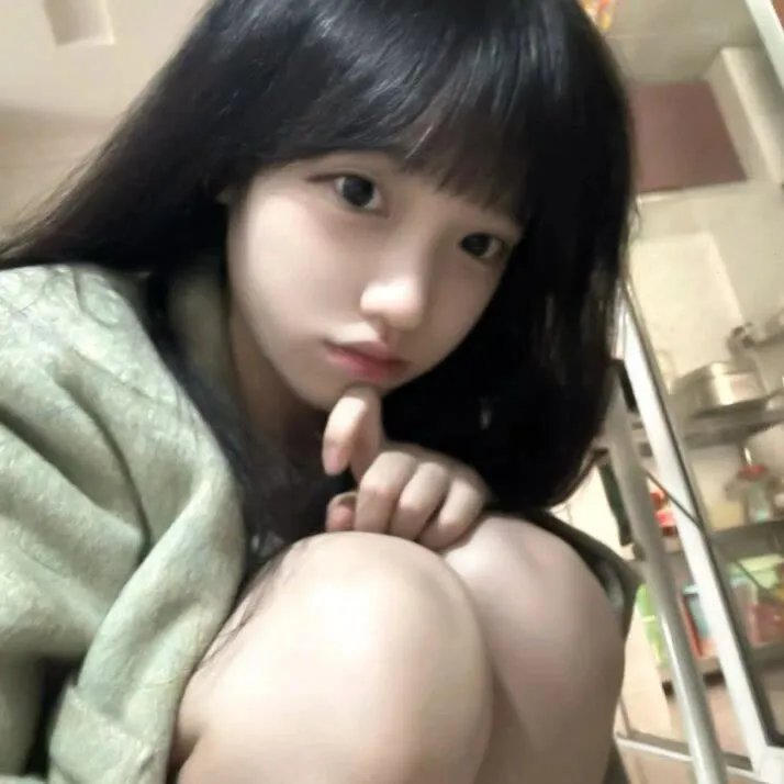 精灵宝可梦：结晶塔的帝王